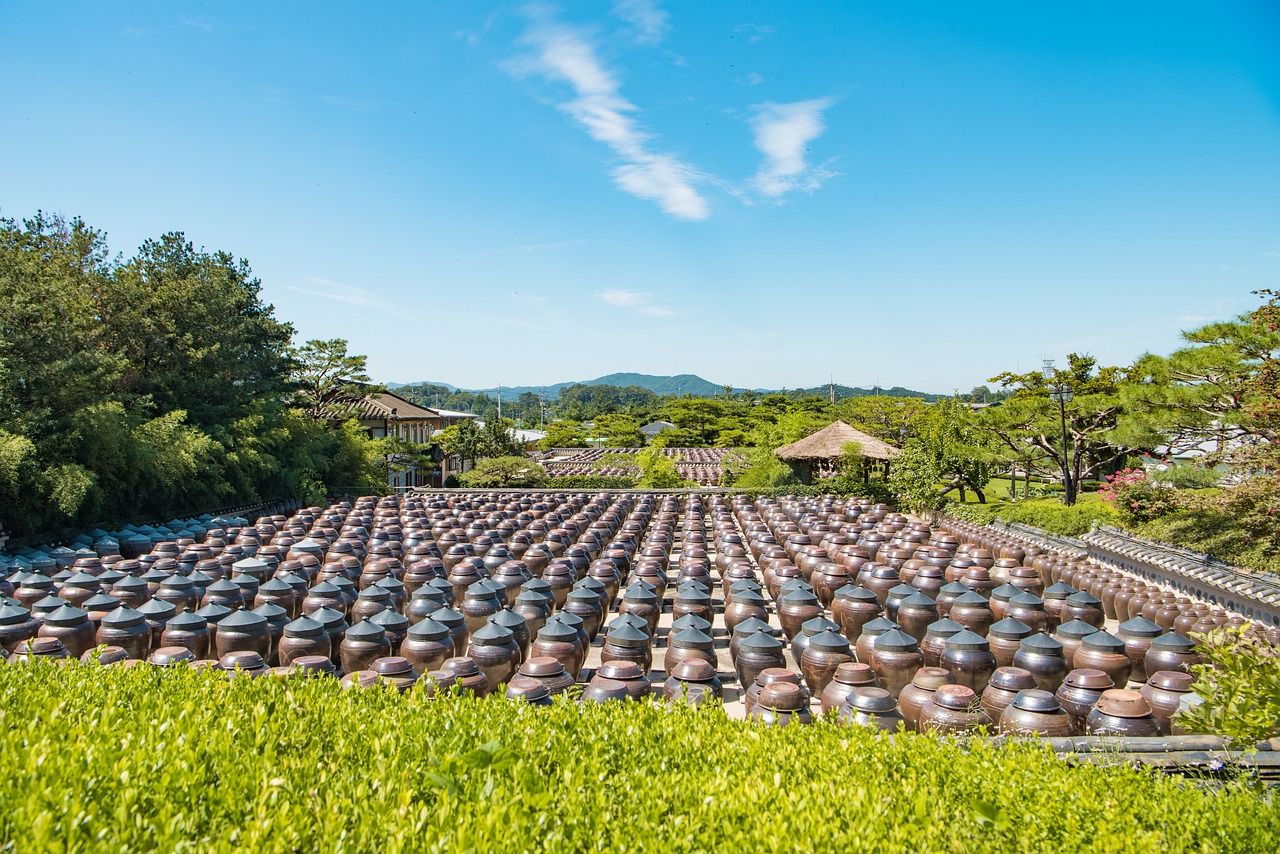 文新茶叶新科园，探索茶产业的科技创新之路