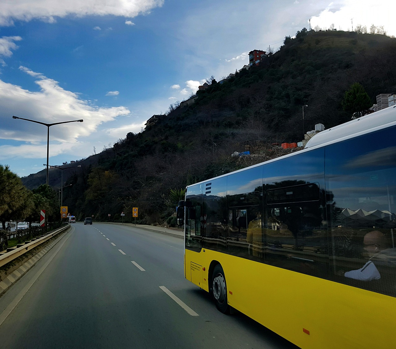 临沂到鲁南花卉市场公交车，便捷连接城市与花卉市场的纽带