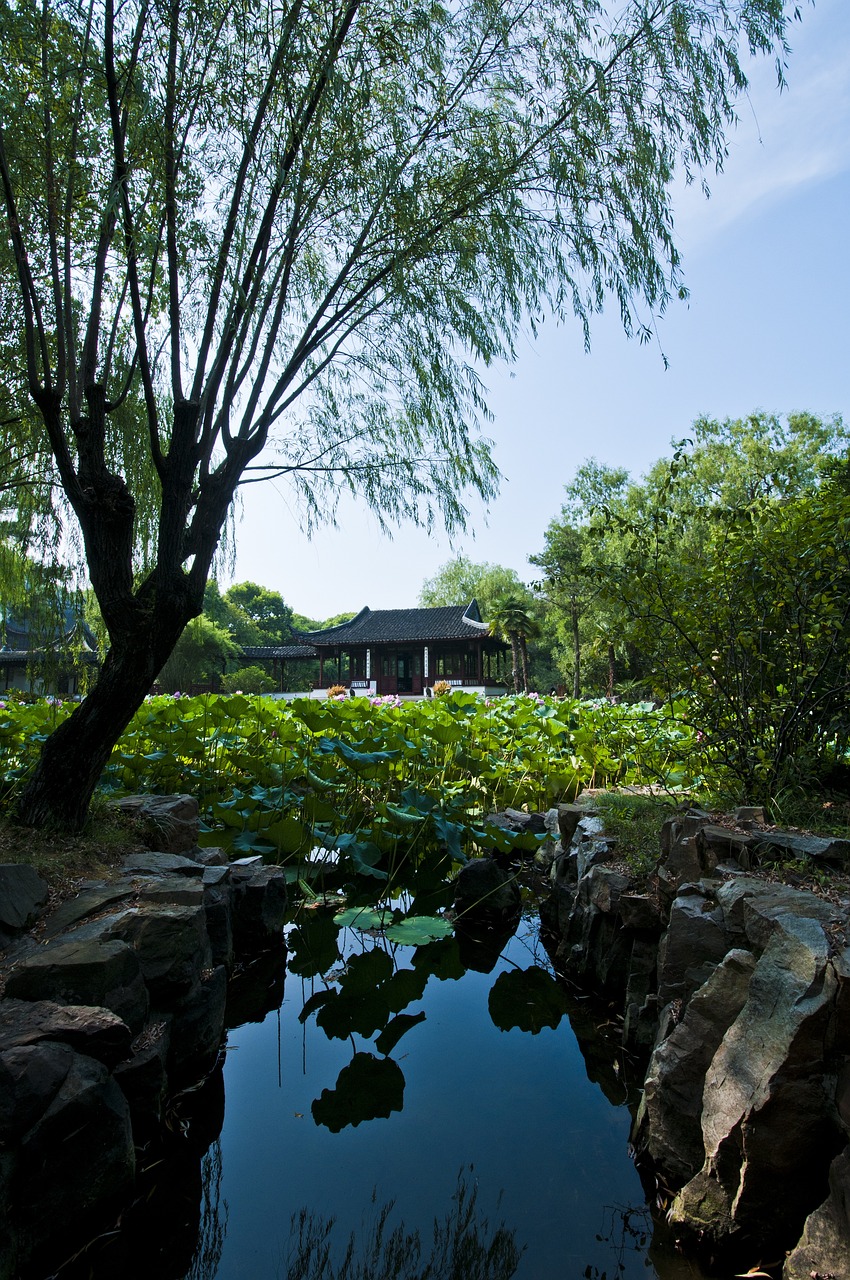 岭南花卉与地铁的邂逅，城市中的绿色脉搏