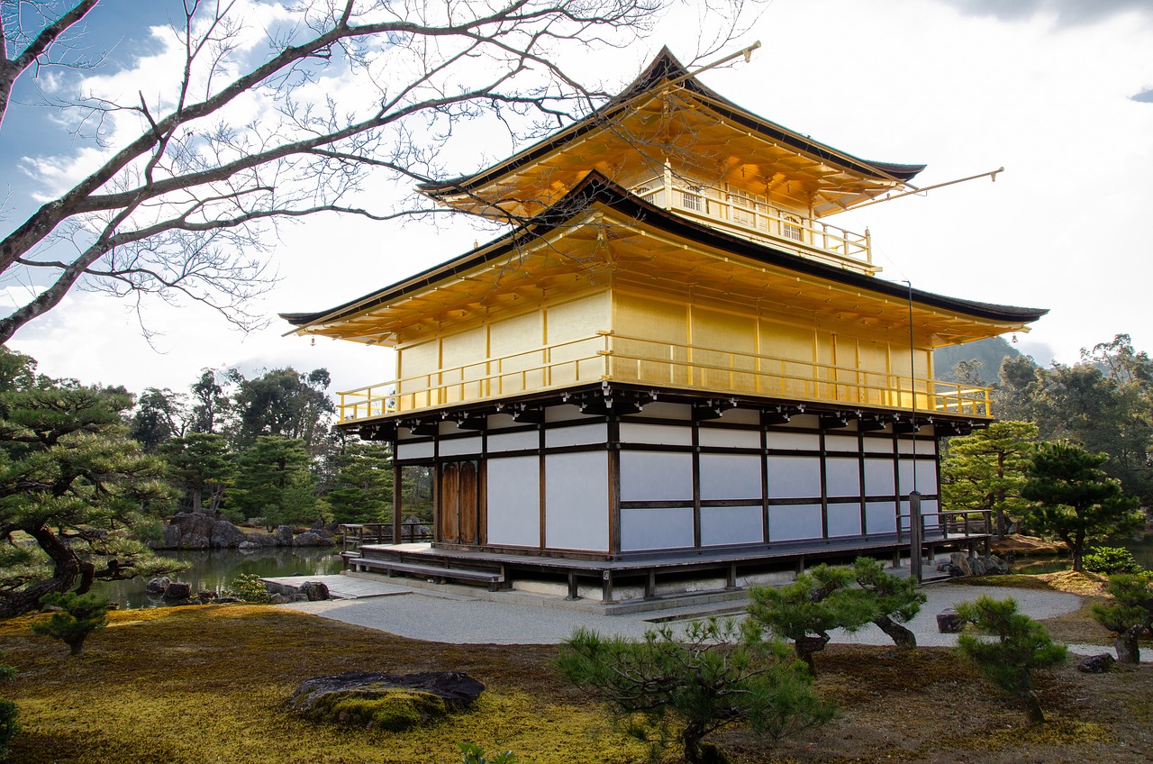 长春家庭园艺服务，美化居家的艺术之旅