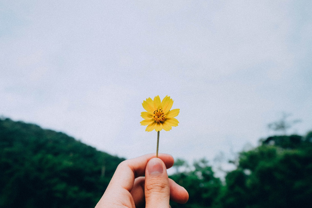 小爽爱生活园艺企业，绿色生活的典范