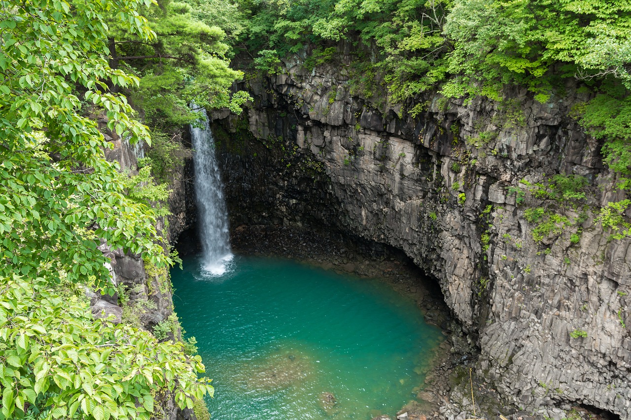 浙江昀川生态园艺，绿色发展的典范