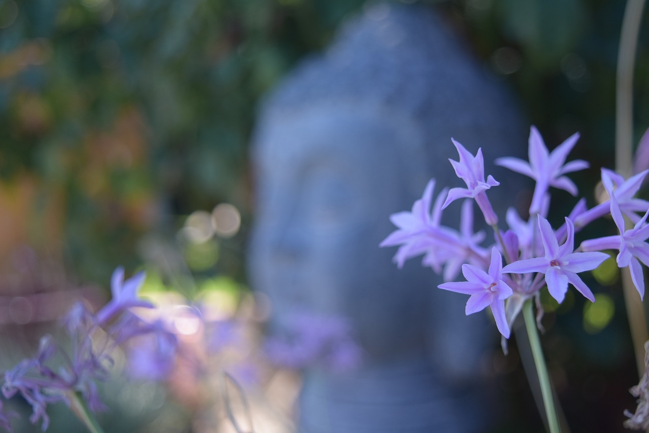 考园艺师难吗？现在的现状与趋势分析