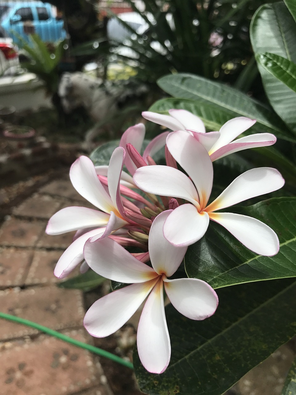 木头打包花卉，传统与自然的和谐融合