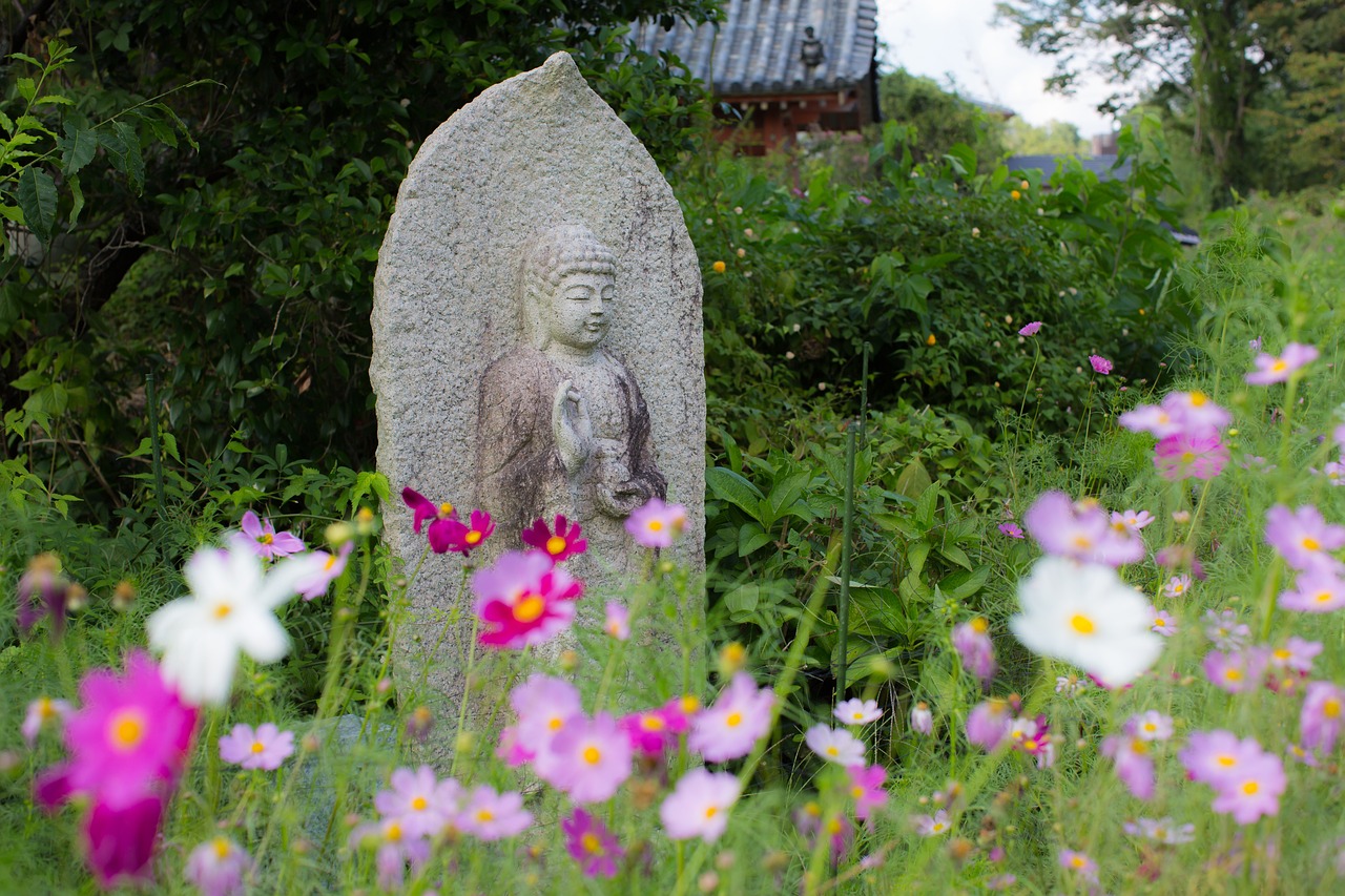 南充附近的花卉世界，自然之美与艺术之韵