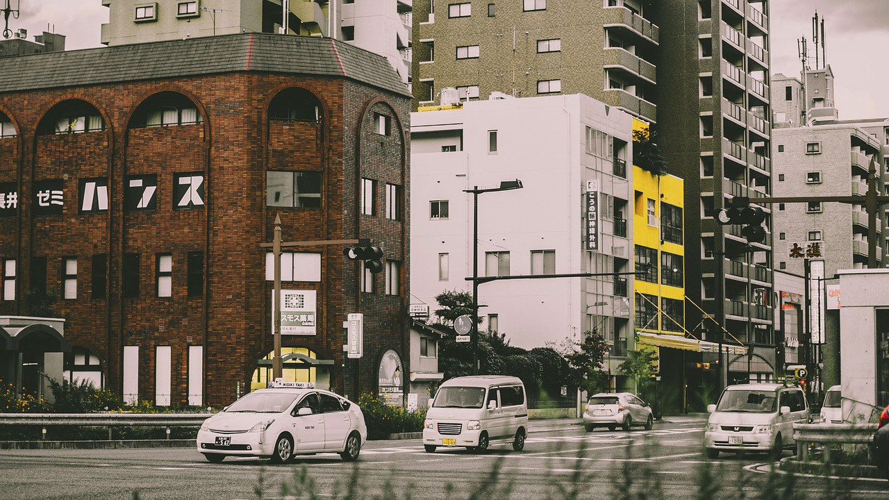 南京花卉市场经五路，繁荣与变迁