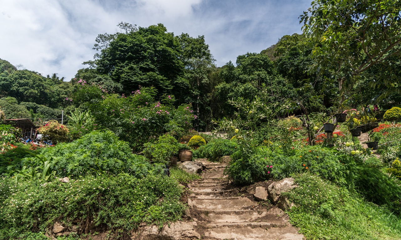 园艺山竹隐茶舍，品味自然与文化的交融