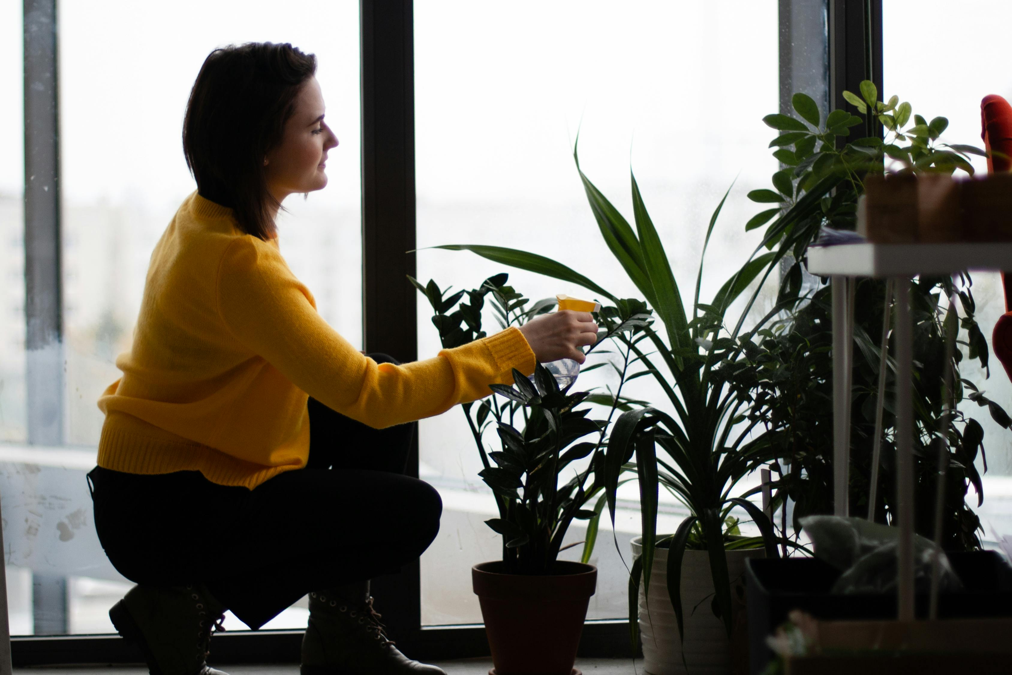 黔东南盆景园艺，传统美学的传承与创新